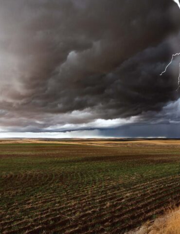lightning discharge field cumulonimbus cloud 0 وزارة الفلاحة تدعو الفلاحين والبحارة إلى توخي الحذر بسبب التقلبات الجوية