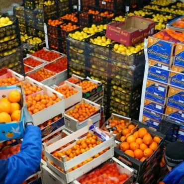 الفلاحة واالصناعات الغذائية قطاع الفلاحة والصناعات الغذائية يسجل فائضا بـ87،1 بالمائة موفى ماي 2026