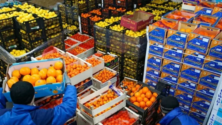 الفلاحة واالصناعات الغذائية قطاع الفلاحة والصناعات الغذائية يسجل فائضا بـ87،1 بالمائة موفى ماي 2026