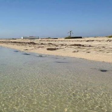 Sfax plage teparura المجلس الجهوي بصفاقس: جلسة عمل حول الفتح الفوري لشواطئ تبرورة