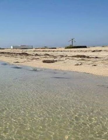 Sfax plage teparura المجلس الجهوي بصفاقس: جلسة عمل حول الفتح الفوري لشواطئ تبرورة