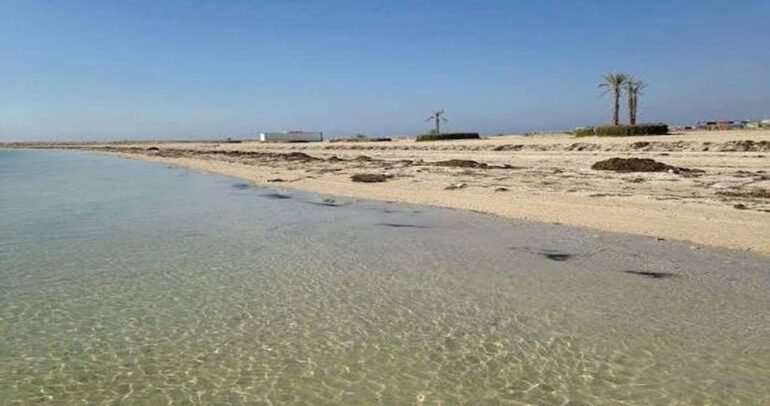 Sfax plage teparura المجلس الجهوي بصفاقس: جلسة عمل حول الفتح الفوري لشواطئ تبرورة