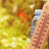اليوم درجات الحرارة تتجاوز المعدلات العادية بفارق 7 إلى 12 درجة