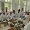 Agriculture : la Tunisie muscle son réseau de laboratoires d&rsquo;analyses des sols pour mieux accompagner les agriculteurs
