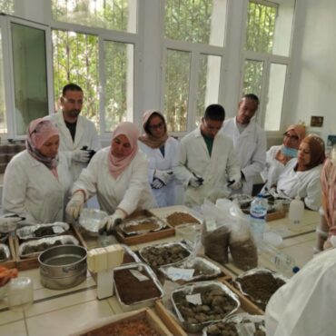 Agriculture FAO