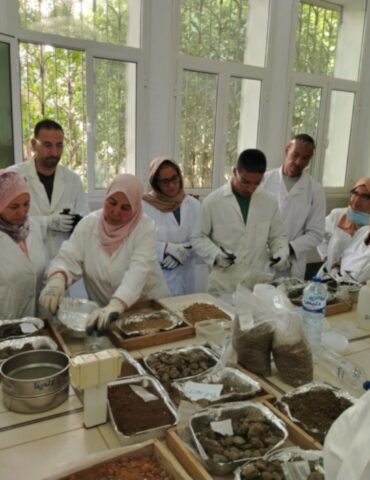 Agriculture FAO