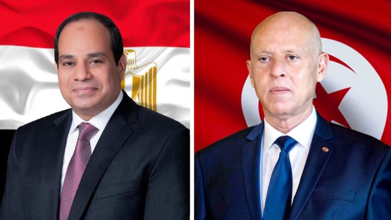 سعيد السيسي سعيّد للسيسي: "ما دمنا على قلب رجل واحد قادرون على رفع كل التحدّيات"